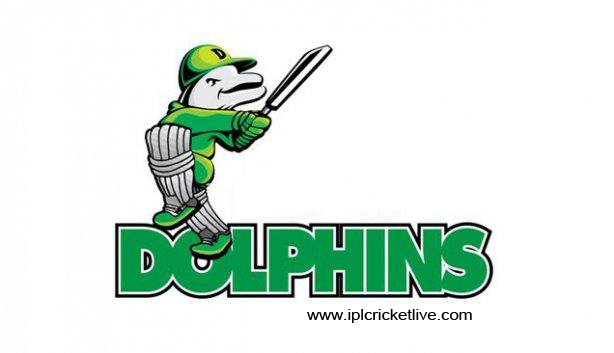 Dolphins Squad Logo